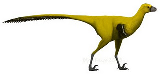 Tianyuraptor.jpg