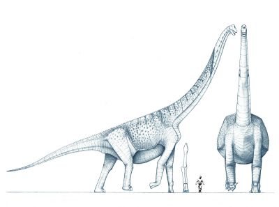 Argyrosaurus.JPG