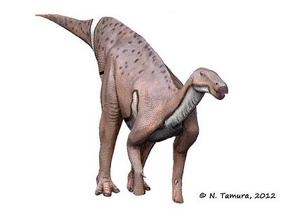 Huxleysaurus.jpg