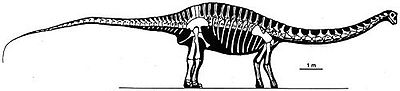 Limaysaurus.jpg