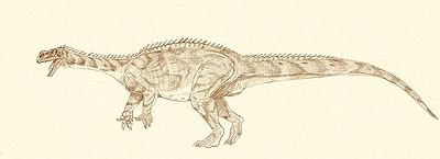 Rekonstrukcja aardonyksa - sefapanozaur był podobnie do niego zbudowany. Autor: Jakub Kowalski.