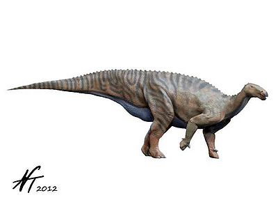 Darwinsaurus NT.jpg