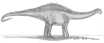 Rayososaurus.jpg