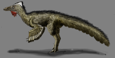 Tochisaurus.png