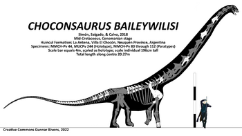 Choconsaurus bayleywilisi Skeletal.png
