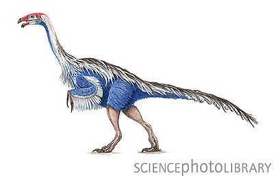 Neimongosaurus.jpg