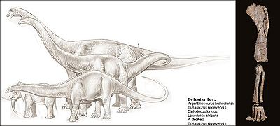 Turiasaurus2.jpeg