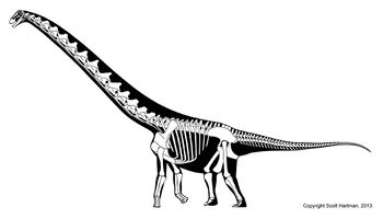 Rapetosaurus Hartman.jpg