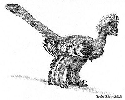 Anchiornis.jpg