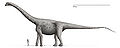 Bruhathkayosaurus.jpg