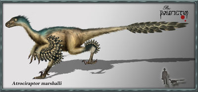 Atrociraptor marshalli by karkemish00.jpg