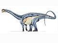 Haplocanthosaurus.jpg