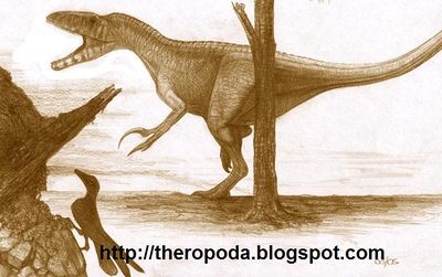 Megaraptor Andrea Cau.jpg