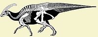 Hadrosauridae.jpg