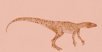 Eoraptor 1 by Kahless28.jpg