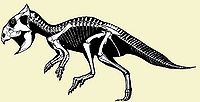 Ceratopsia bazalne.jpg