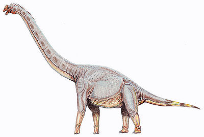 Sonorasaurus.jpg