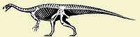 Sauropodomorpha bazalne.jpg