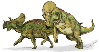 Avaceratops.png