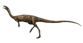 Elaphrosaurus funkmonk.jpg