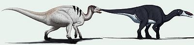Edmontosaurus Edyta Felcyn.jpg