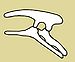 Ornithischia.jpg