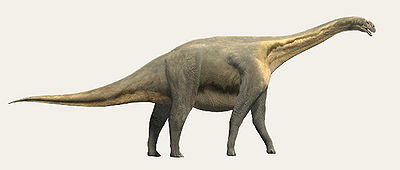 Losillasaurus.jpg