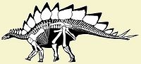 Stegosauria.jpg