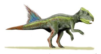 Archaeoceratops.jpg