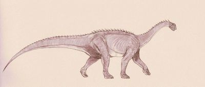 Barapasaurus by kahless28.jpg