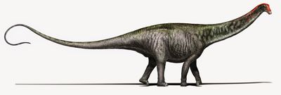 Brontosaurus Davide Bonadonna.jpg