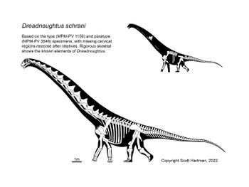 Dreadnoughtus by Scott Hartman.jpg