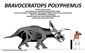 Bravoceratops skeletal by Gunnar Bivens.jpg
