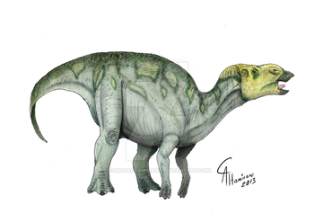Hadrosaurus foulkii by CamusAltamirano.png