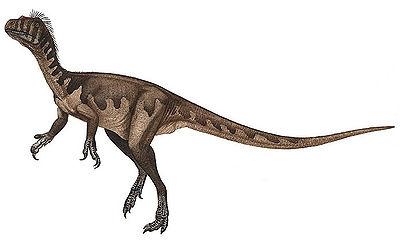 Guaibasaurus.jpg