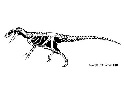 Marshosaurus Scott Hartman.jpg