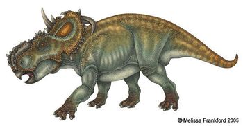 Pachyrhinosaurus by mmfrankford.jpg