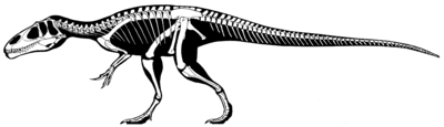 Eustreptospondylus-oxoniensis-skeleton2 Jaime Headden.png