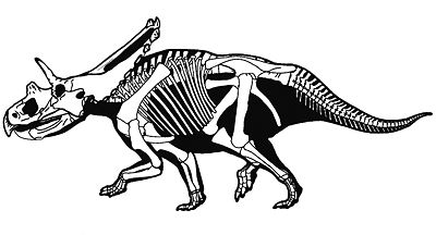 Mojoceratops Sampson i in. 2010.jpg