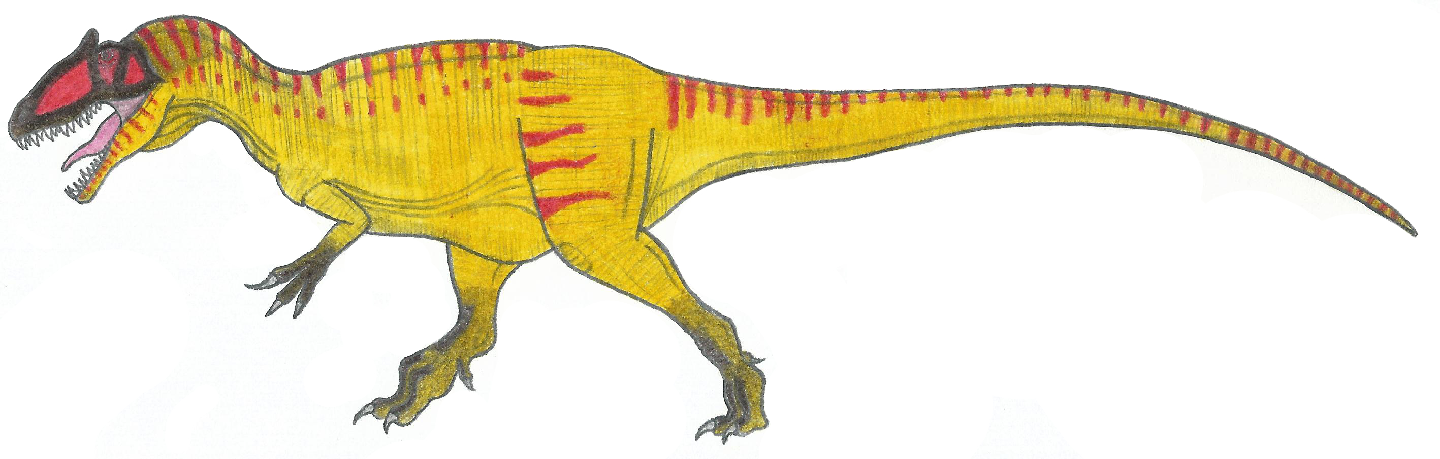 Заурофаганакс. Заурофаганакс динозавр. Заурофаганакс Maximus. Заурофаганакс скелет. Акрокантозавр против Заурофаганакс.