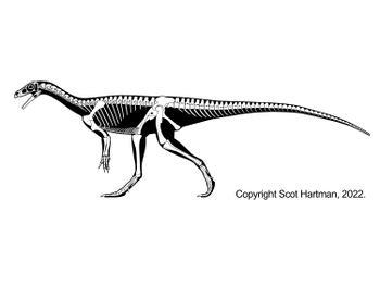 Mbiresaurus.hartman.jpg