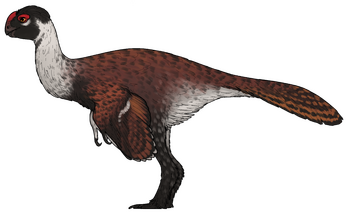 Infernogallus jamesi.png