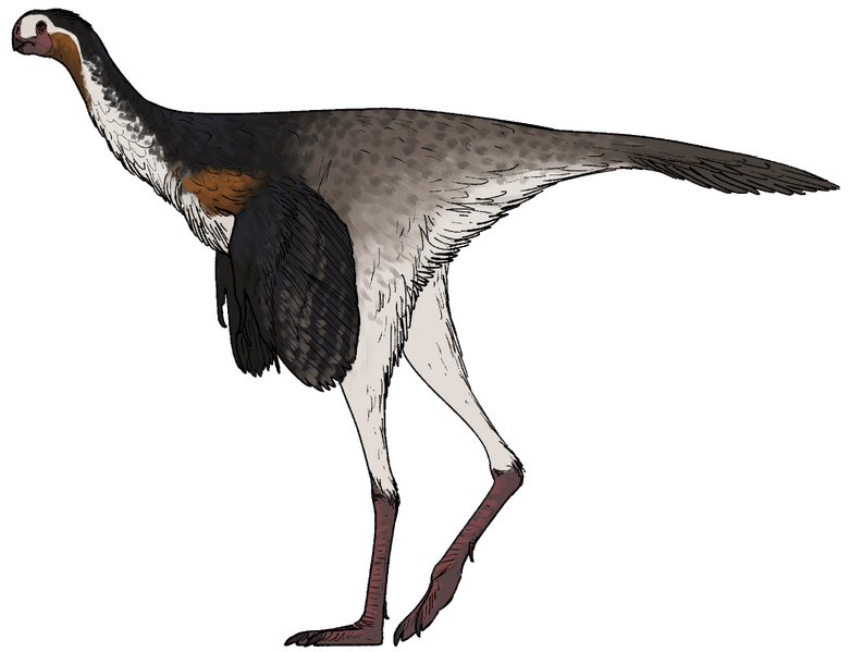 Plik:Yuanyanglong bainian.png