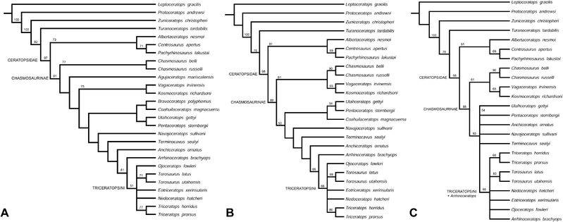 Plik:Fowler i Freedman Fowler, 2020.png