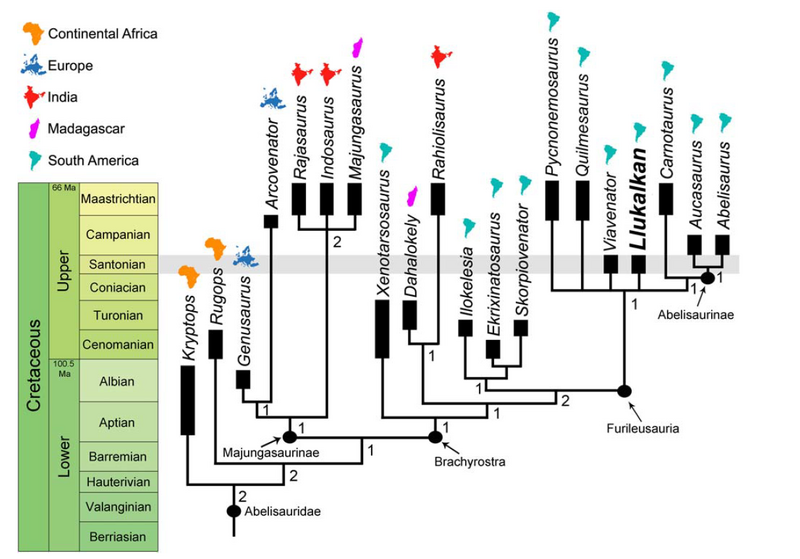 Plik:Gianechini et al 2021.png