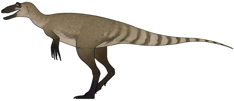 Plik:Nanotyrannus lancensis.png