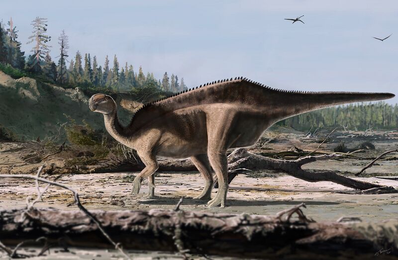 Plik:Istiorachis (life restoration).jpg