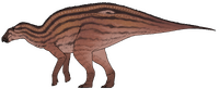 Ahshislesaurus wimani.png