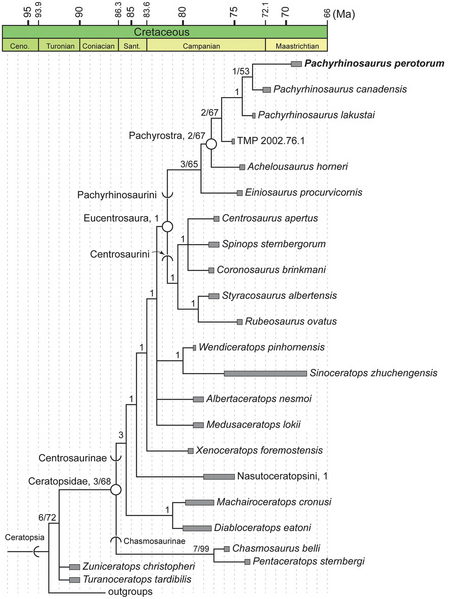 Plik:Tykoski i in., 2019.png
