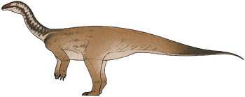 Xiangyunloong fengming.png